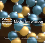 Watch the Orbactiv® (oritavancin) mechanism of action video